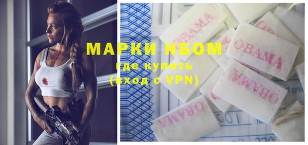 таблы Новозыбков