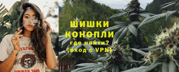 таблы Новозыбков